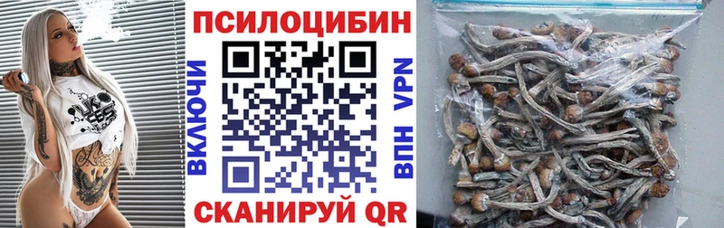 Псилоцибиновые грибы мицелий Купить Россошь