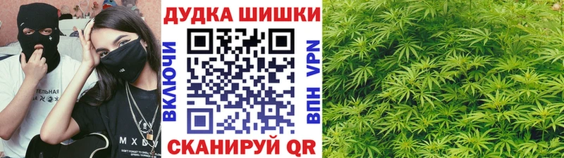 Конопля семена  Купить  Россошь 